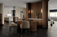//iqrorwxhnlprlm5p.ldycdn.com/cloud/ppBpqKkrlpSRmlrojjqjiq/hotel-furniture-scope-division-intercontinental.png